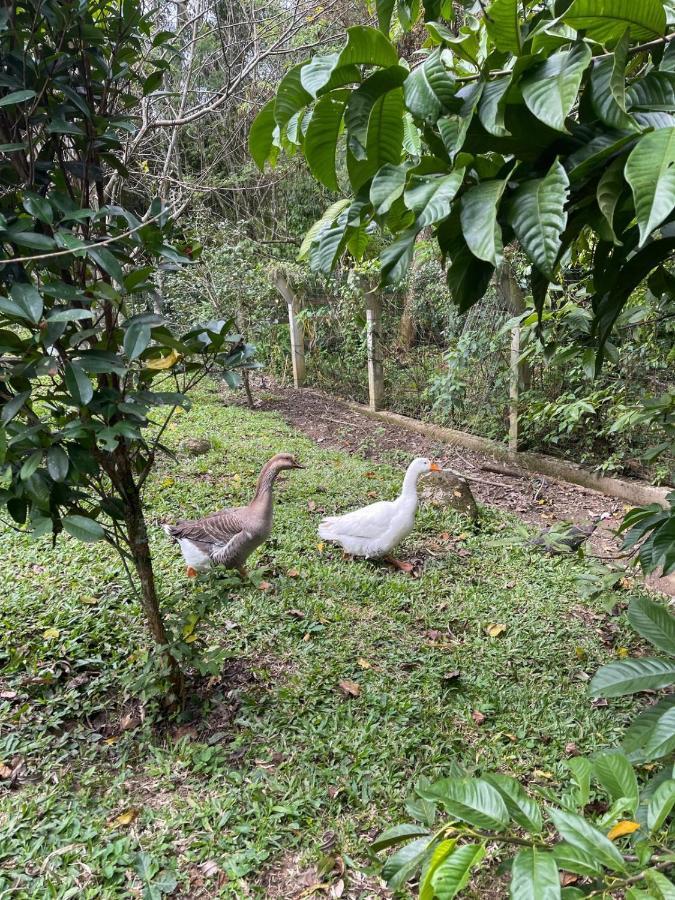 Ampla Casa De Campo - Afaven Águas Mornas Kültér fotó